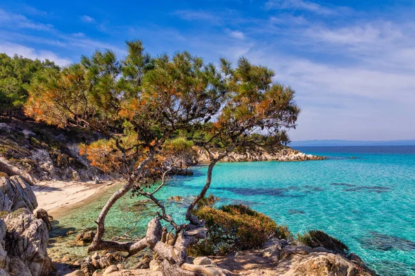 Οι Καβουρότρυπες ή πορτοκαλί είναι μια μικρή παραλία στη Σιθωνία, το Χαλκίδι — Φωτογραφία Αρχείου