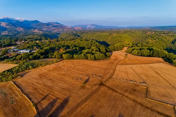 Bela paisagem rural nas montanhas. campos agrícolas com s — Fotografia de Stock