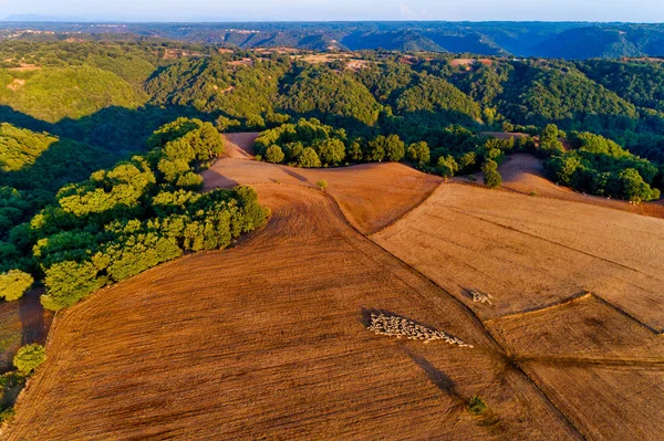 Bela paisagem rural nas montanhas. campos agrícolas com s — Fotografia de Stock