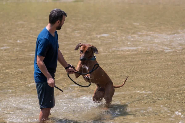 Щасливий молодий чоловік зі своїм собакою весело плаває на річці. Любов — стокове фото