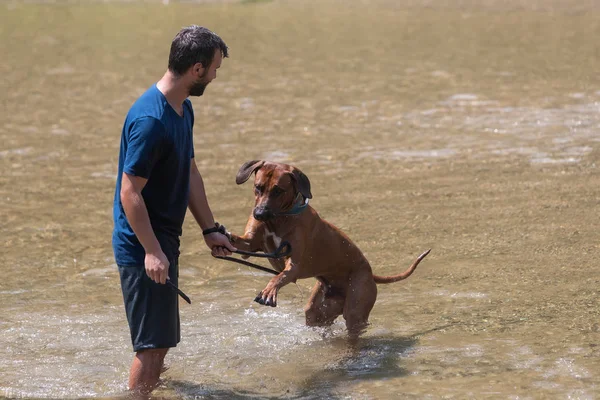 Щасливий молодий чоловік зі своїм собакою весело плаває на річці. Любов — стокове фото