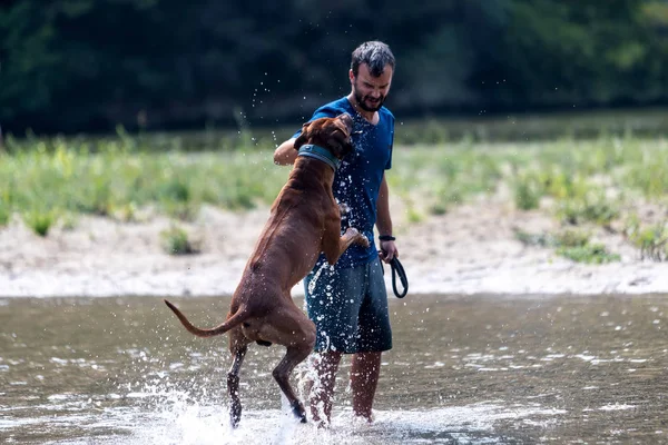 Щасливий молодий чоловік зі своїм собакою весело плаває на річці. Любов — стокове фото