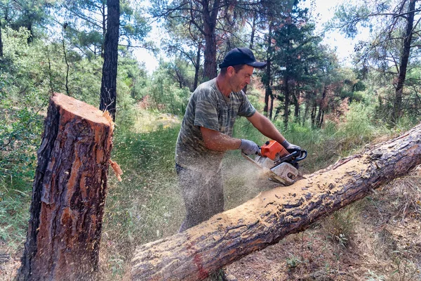 Lumberjack work wirh chainsaw in the forest — Stock Photo, Image