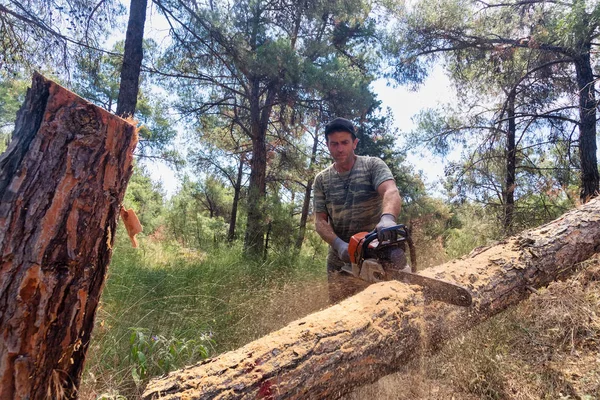 Trabajo de leñador con motosierra en el bosque — Foto de Stock