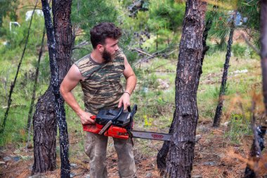 Ormanda oduncu iş wirh testere
