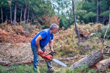 Ormanda oduncu iş wirh testere