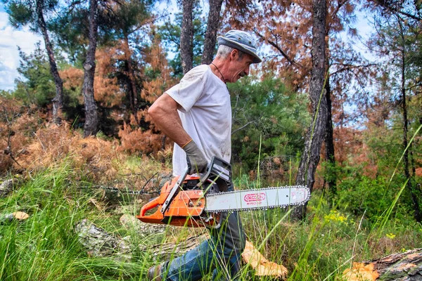 Lumberjack work wirh chainsaw in the forest — Stock Photo, Image