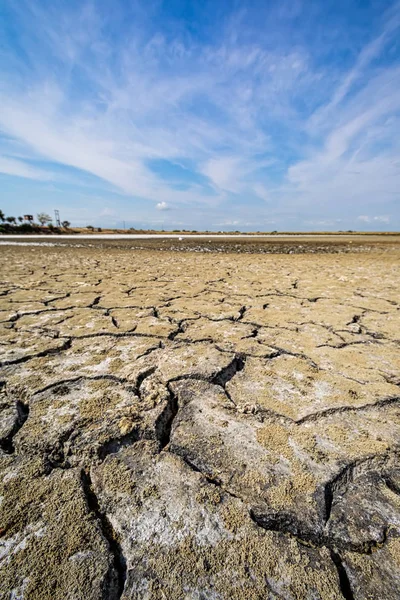 Dry lake bed with natural texture of cracked clay in perspective