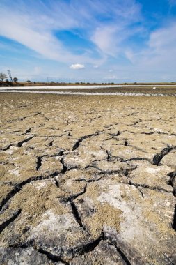 Perspektif içinde kırık kil doğal doku ile kuru göl yatağı