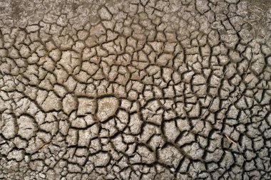 Perspektif içinde kırık kil doğal doku ile kuru göl yatağı