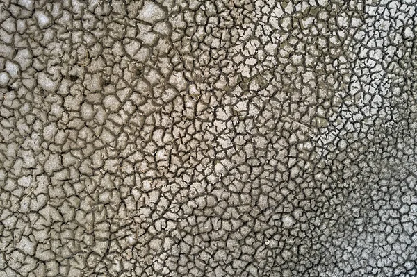 Сухе озерне ліжко з природною текстурою тріщинної глини в перспективі — стокове фото