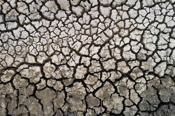 Dry lake bed with natural texture of cracked clay in perspective — Stock Photo, Image