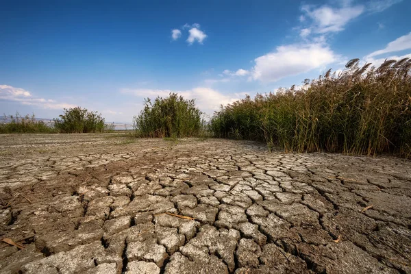 視点でひびの入った粘土の自然な風合いを持つ乾燥湖ベッド — ストック写真