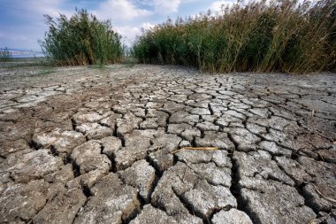 Perspektif içinde kırık kil doğal doku ile kuru göl yatağı