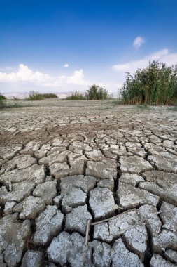 Perspektif içinde kırık kil doğal doku ile kuru göl yatağı
