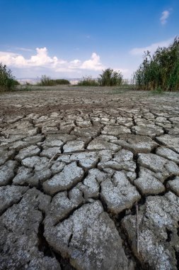 Perspektif içinde kırık kil doğal doku ile kuru göl yatağı