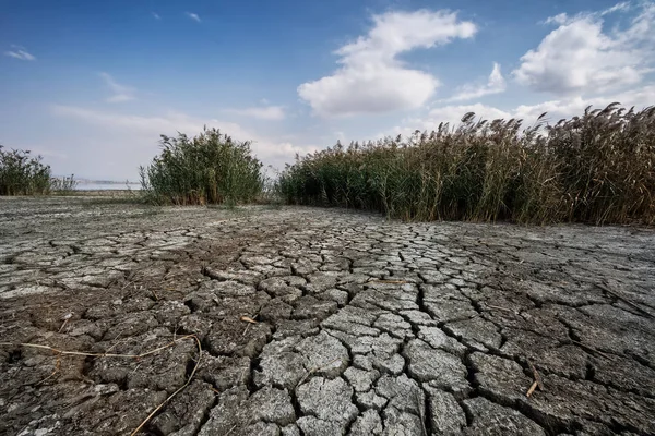 視点でひびの入った粘土の自然な風合いを持つ乾燥湖ベッド — ストック写真