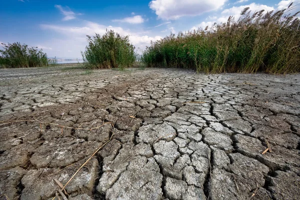 視点でひびの入った粘土の自然な風合いを持つ乾燥湖ベッド — ストック写真