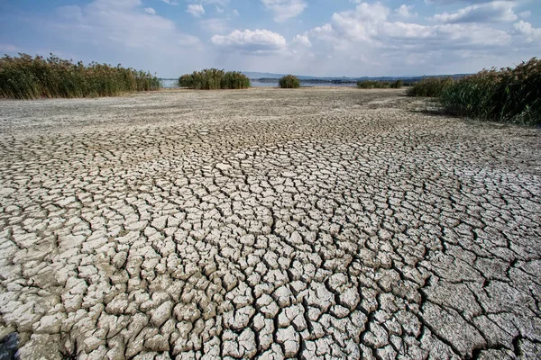 Cama de lago seco com textura natural de argila rachada em perspectiva — Fotografia de Stock