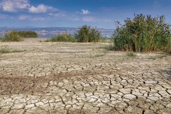 Dry lake bed with natural texture of cracked clay in perspective — Stock Photo, Image