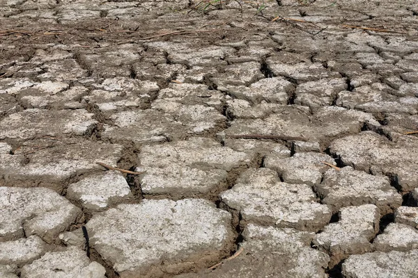 Dry lake bed with natural texture of cracked clay in perspective