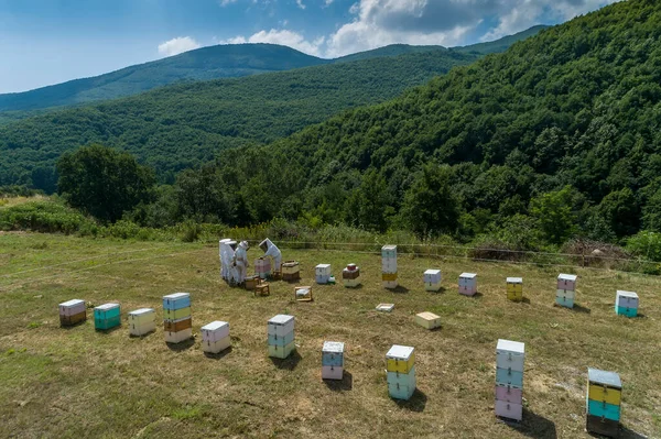 Beekeepers Working Collect Honey Area Florina Northern Greece Organic Beekeeping — Stock Photo, Image