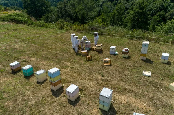 Beekeepers Working Collect Honey Area Florina Northern Greece Organic Beekeeping — Stock Photo, Image