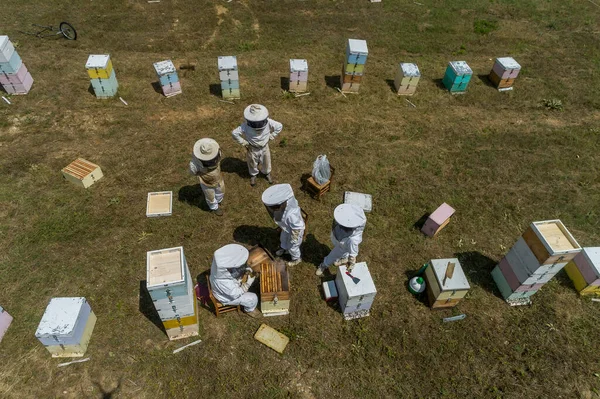 Méhészek Akik Észak Görögországi Florina Területén Mézet Gyűjtenek Ökológiai Méhészet — Stock Fotó