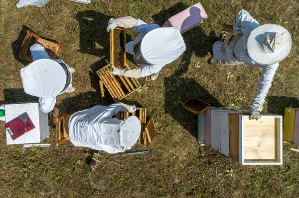 Florina, Greece - July 10, 2020: Beekeepers working to collect honey in an area of Florina in northern Greece. Organic beekeeping