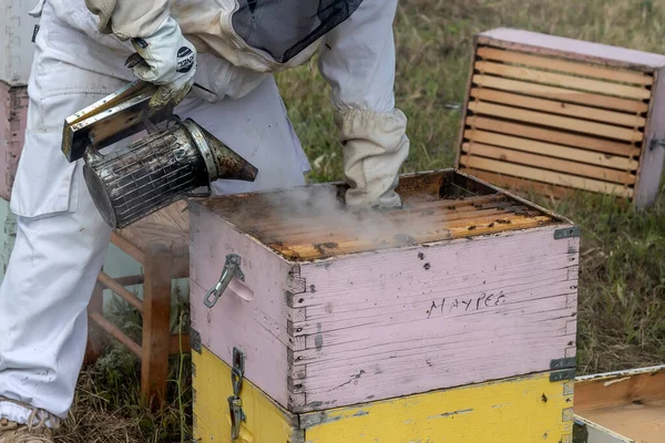 Florina, Greece - July 10, 2020: Beekeepers working to collect honey in an area of Florina in northern Greece. Organic beekeeping