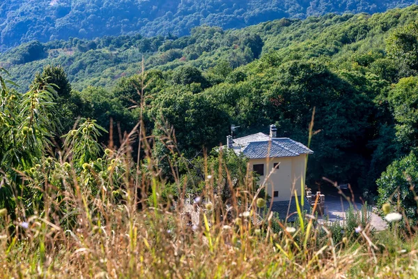 Aldeia Tsagarada Montanha Pelion Magnésia Grécia — Fotografia de Stock