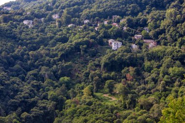 Pelion dağındaki Tsagarada köyü. Magnezya - Yunanistan