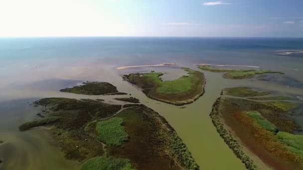 Penerbangan Udara Dengan Drone Atas Dari Delta Sungai Axios Utara — Stok Video