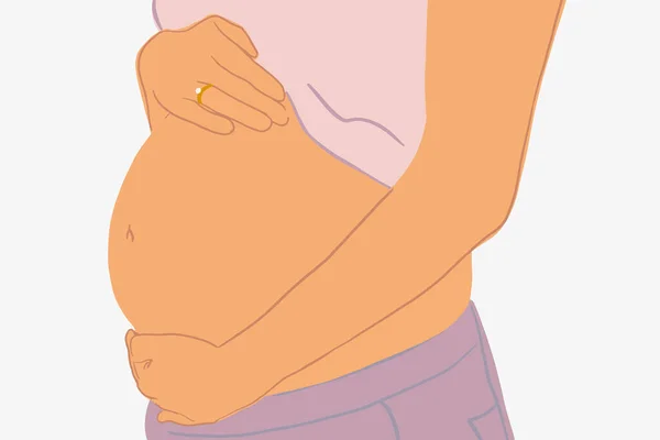 Pregnant womans belly on the background — Stock Vector