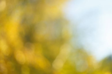 Bulanık güneşli Sonbahar Doğa arka plan mavi gökyüzü ile