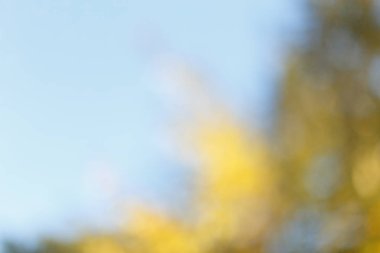 Bulanık güneşli Sonbahar Doğa arka plan mavi gökyüzü ile