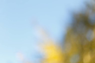 Bulanık güneşli Sonbahar Doğa arka plan mavi gökyüzü ile