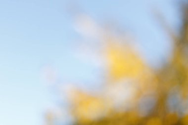 Bulanık güneşli Sonbahar Doğa arka plan mavi gökyüzü ile