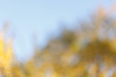 Bulanık güneşli Sonbahar Doğa arka plan mavi gökyüzü ile