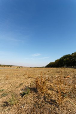 Sonbahar landscpe gün batımında alanlarla çevrili Nehri yakınında