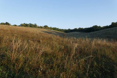 Gün batımında çayır tepeleri, Ukrayna