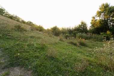 Tepeler arasında çayır yolu