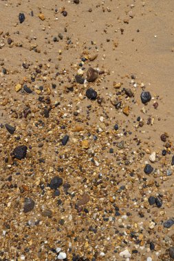 ıslak kumlu plajda küçük taşlar