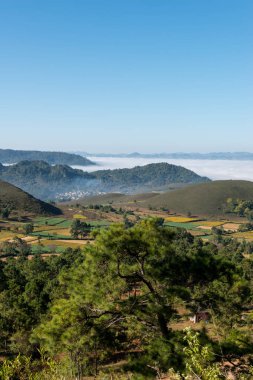 Myanmar'ın turistik bir destinasyonu olan Inle Gölü'ne yakın, sabah sisi sırasında birmanya bitki örtüsünün güzel manzarasının dikey görüntüsü
