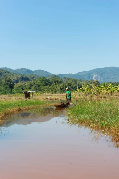 Inle Lake, Myanmar - 28 Kasım 2018: Myanmar'da güneşli bir günde Inle Gölü'nde seyreden yerel balıkçıların dikey resmi