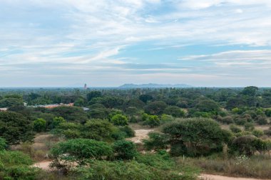 Bagan, Myanmar arkeoloji parkında yerel bitki örtüsünün spetacular görünümü yatay piciture