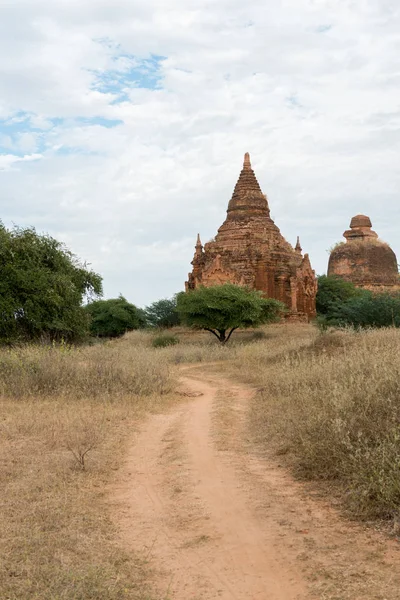 Vertikální Obrázek Pěší Stezky Malebný Pohled Přírodu Staré Chrámy Bagan — Stock fotografie