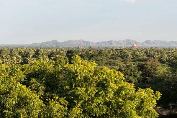 Horizontální Obrázek Přírodě Archeologickém Parku Bagan Myanmaru — Stock fotografie
