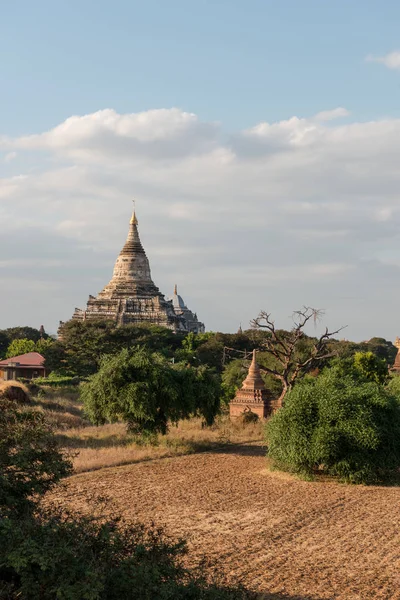 Vertikální Obrázek Archeologického Parku Bagan Starobylých Buddhistických Chrámů Myanmaru — Stock fotografie