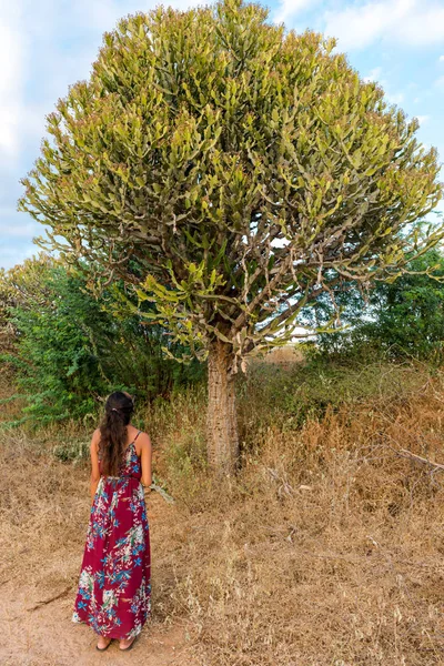 Vertikální Obrázek Mladé Ženy Hledaje Velké Kaktusy Archeologickém Parku Bagan — Stock fotografie